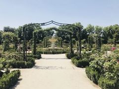 -丽池公园