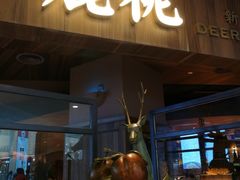 门面-大树餐厅(益田假日店)