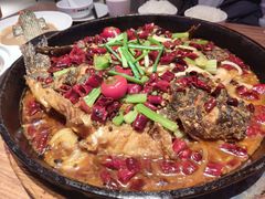 -老板恋上鱼(恒隆广场店)