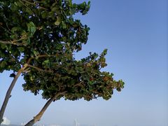 -三亚蜈支洲岛旅游区