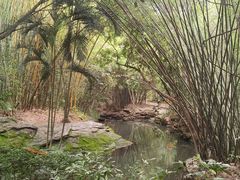 -大屏嶂森林公园