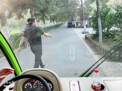 -合肥滨湖国家森林公园