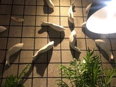 -严厨老坛酸菜鱼(吴江万宝店)