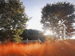 -牛岗山公园