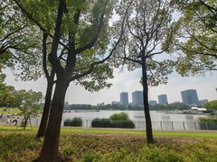 -美兰湖景区