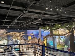 -国家自然博物馆