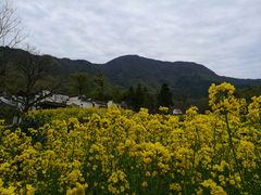-塔川景区