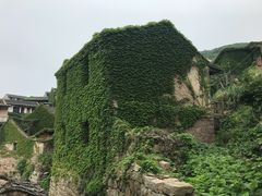 -枸杞岛