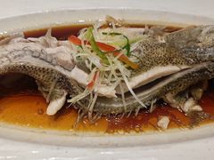 -艳阳天民俗村(公园路店)