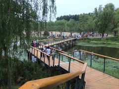 -东郊湿地公园