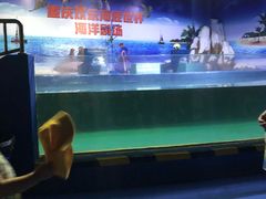 -重庆欢乐海底世界
