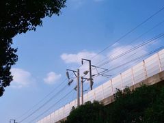 -东湖落雁景区