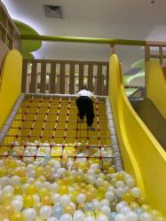 -meland亲子乐园•派对•研学(苏州悠方购物中心店)