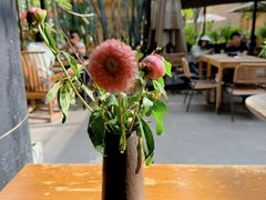 -扫雪煮茶(西村店)