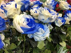 -双季花艺园艺市场(浦东店)