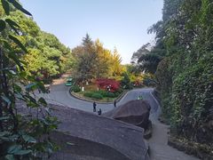 -岳麓山风景名胜区