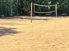 -山东大学(威海校区)