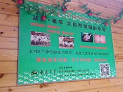 -香木香羊(小汤山店)