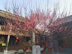 -花洲书院