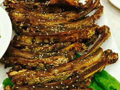 -紫光园(顺义店)