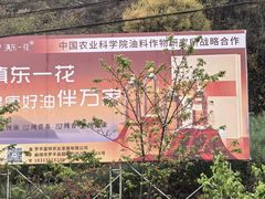 -牛街螺丝田
