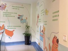 -瑞派申生动物医院·24H夜诊·国际动物医疗中心·骨外科(吴中路店)