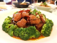 -陈麻婆豆腐总店