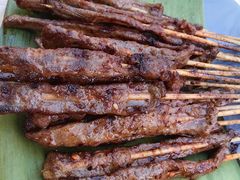 -杨合林啊兰烤鱼