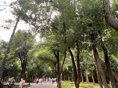 -东湖落雁景区