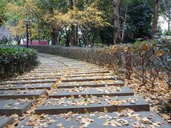 -西南政法大学(渝北校区)