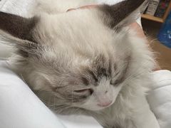 -剧狐剧本杀·月球探案馆(人民广场1号店)