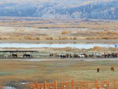 -北极村旅游风景区