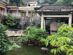 -老幺泉水鸡