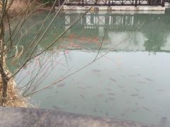-深业半汤御泉庄温泉