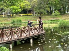 -美兰湖景区
