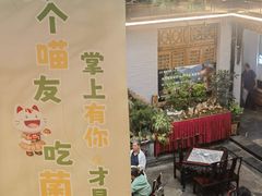 -蔼若春.传承三十年云南菜(金碧公园店)