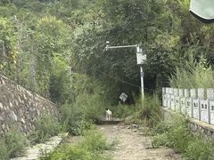 -妙峰山风景名胜区