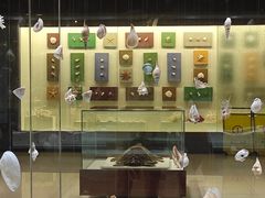 -青岛贝壳博物馆