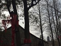 -乌镇西栅景区-月老庙