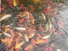-月牙潭公园