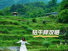 -石台牯牛降景区