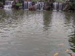 -白马涧龙池景区
