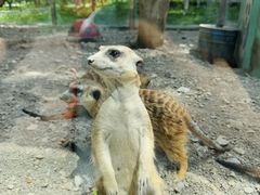 -水上乐园·欢乐世界