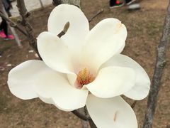 -东莞植物园