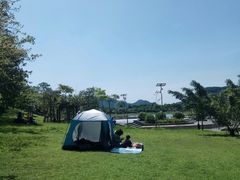 -风云岭森林公园
