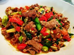 -壹盏灯(惠农店)