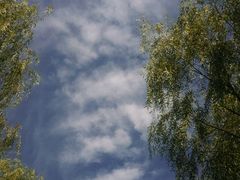 -武清南湖绿博园