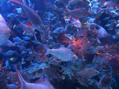 -成都浩海立方海洋公园