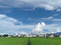 -喜林苑·稻田餐厅(品相府店)
