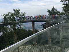 -缙云山景区